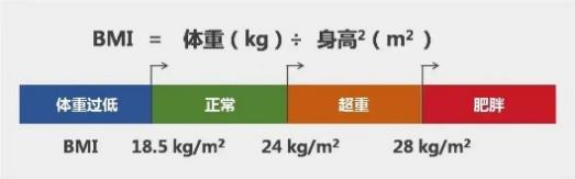 星空官方体育如何管理肥胖？请避开十大误区