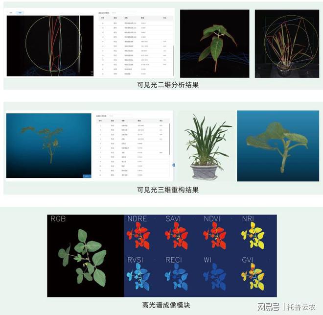 植物表型科研利器！托普云农助力种业振兴与粮食安全星空体育平台(图2)