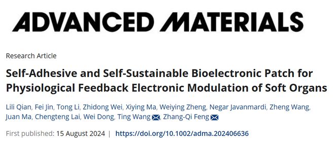 星空官方体育南理工冯章启东南大学王婷团队《AM》：自持续仿生电子贴片用于软组织快速修复