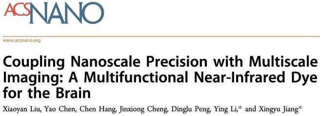 南科星空官方体育大蒋兴宇教授团队《ACS Nano》：一种用于大脑成像的多功能、跨尺度近红外染料(图1)