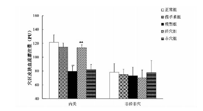 散斑血流成像专题星空官方体育（17）丨激光散斑监测皮肤血流灌注(图1)