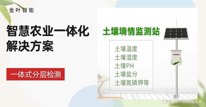 苗情和墒星空体育平台情实时监测系统：让农作物生长更智慧！(图2)